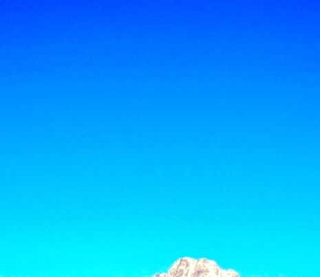 粉象生活需要实名认证么