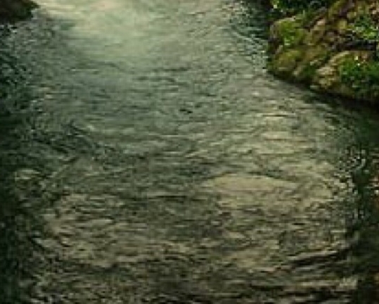 粉象啤酒多少度