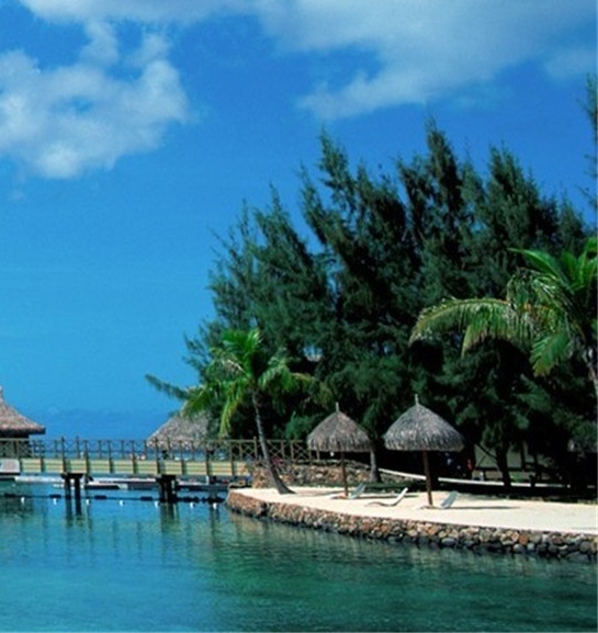 粉象生活怎么赚钱的