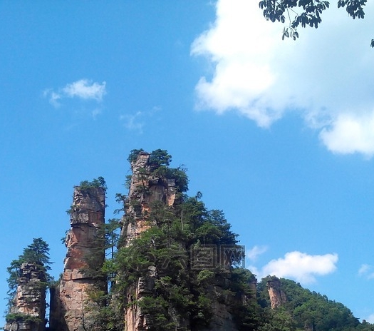 粉象是什么