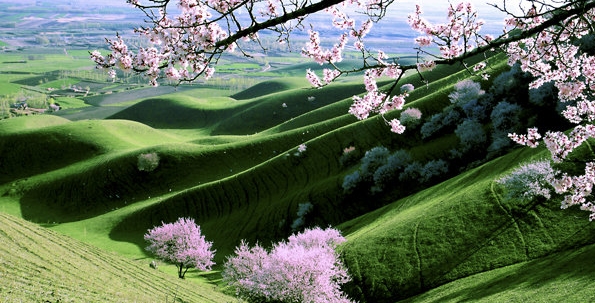 粉象生活可以赚钱吗