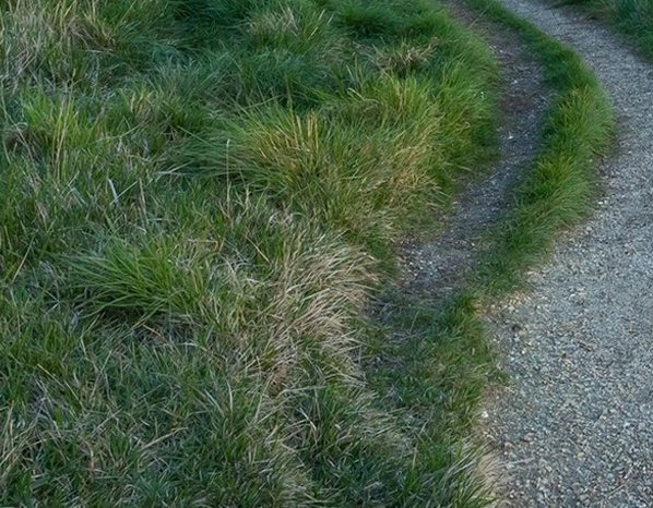 小主生活加盟官网