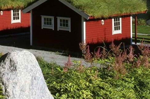 粉象生活真的有那么赚钱么