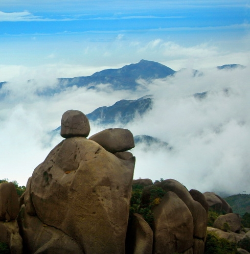 粉象生活怎么赚钱的