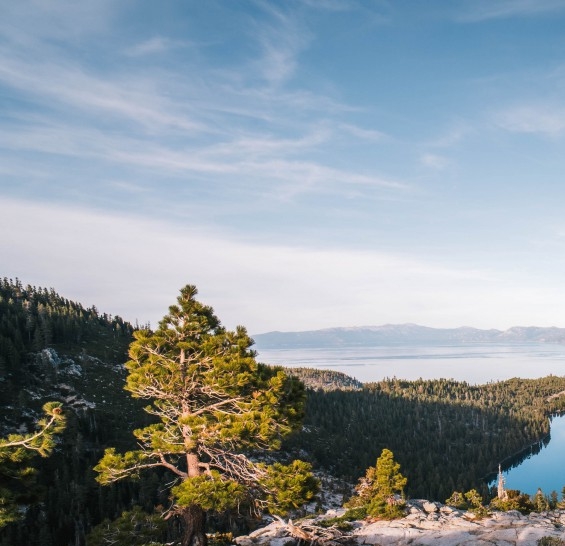 粉象生活购物如何赚钱