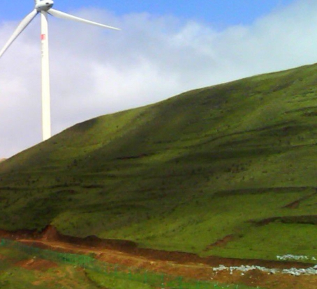 粉象生活到底能不能做