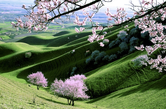 粉象生活下载app