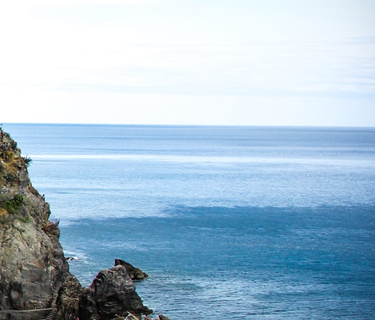 广东粉象生活如何使用