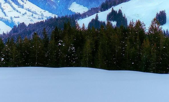 蜜源生活邀请码