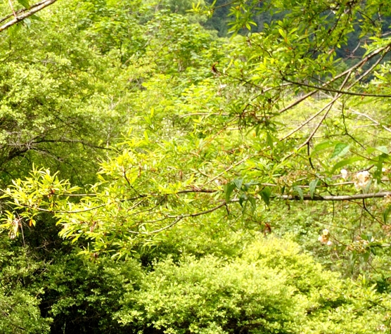 粉象生活赚钱教程