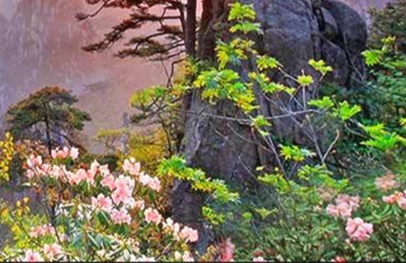 粉象生活能赚到钱吗