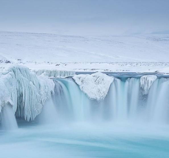 粉象生活骗局大揭秘