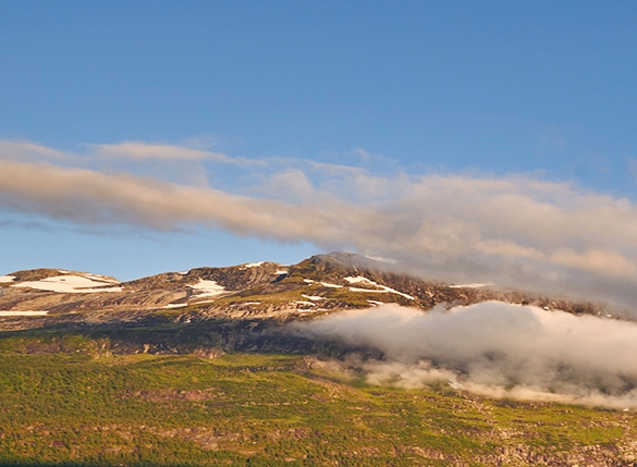 中山粉象生活能拿几代佣金