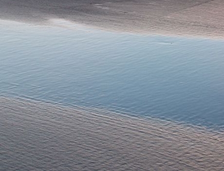 粉象生活优惠券是不是佣金