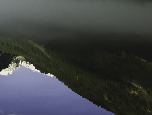 深圳粉象生活赚钱