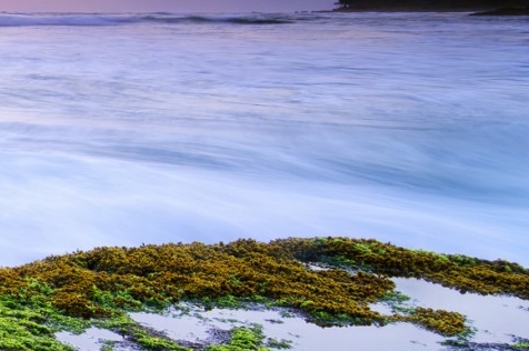 粉象生活邀请码