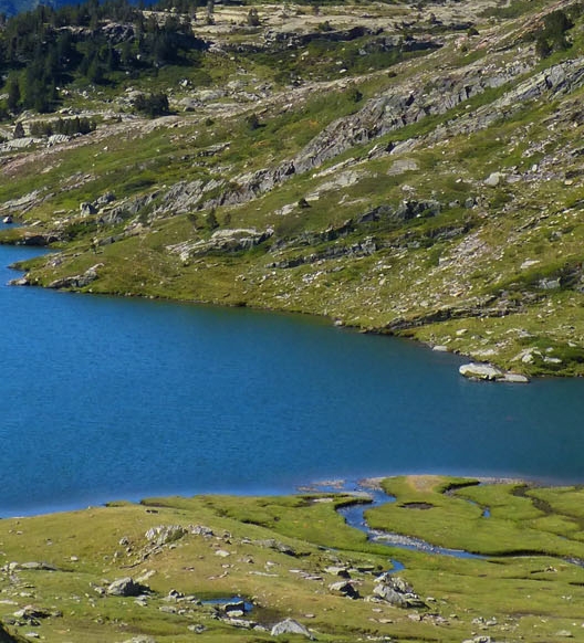 粉象生活赚钱教程