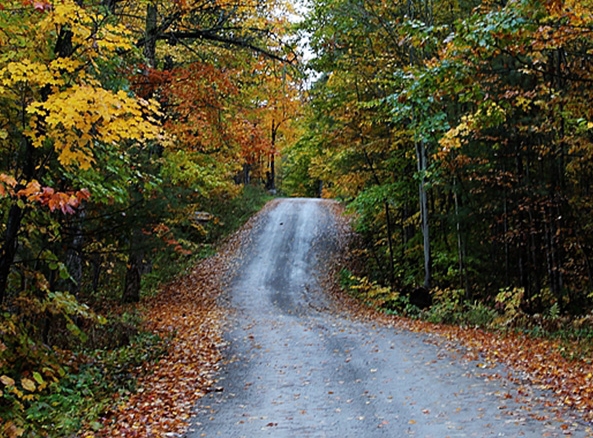 蓝粉象婴儿保暖衣