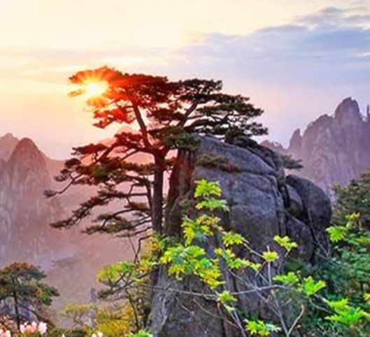 粉象生活如何加入粉象生活