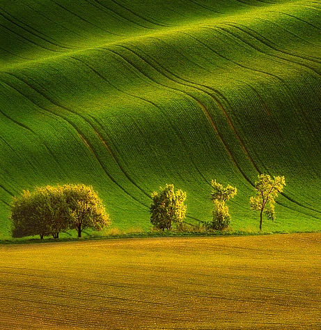 粉象生活怎么关闭微信