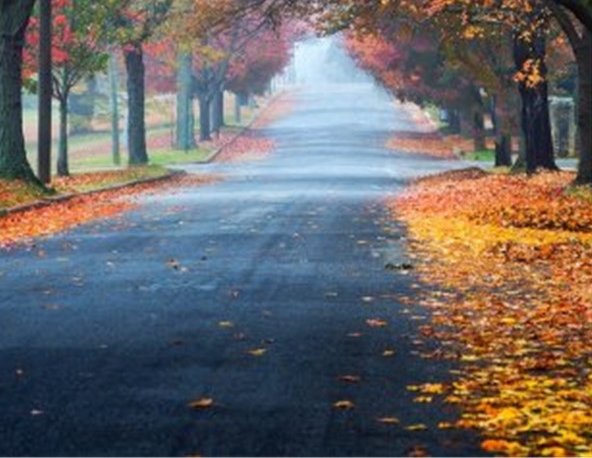 比利时啤酒哪个牌子好喝