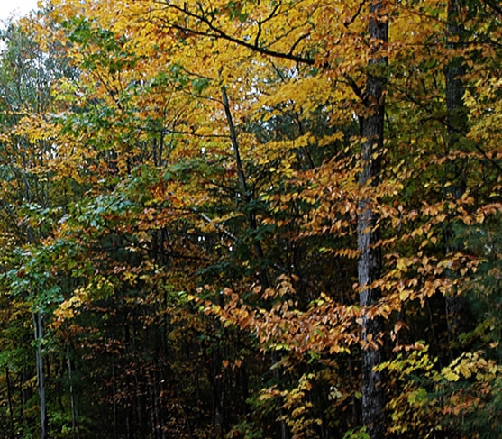 美容院如何拓客推广
