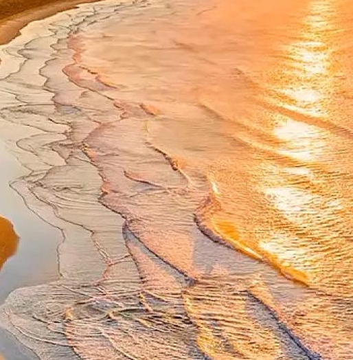 粉象生活链接转换