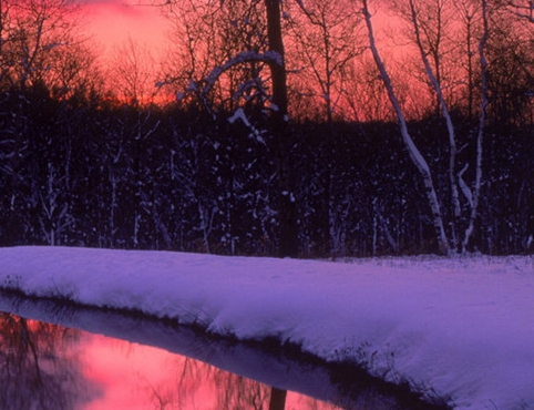 粉象生活真的可以赚钱吗