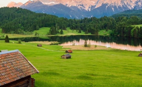 粉象生活下载app