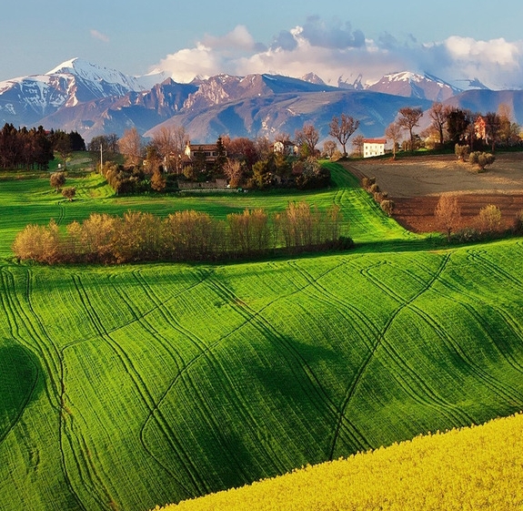 粉象生活需要实名认证吗