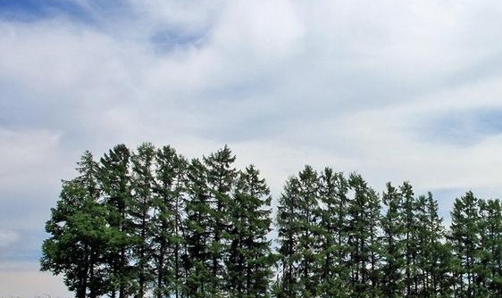 粉象生活怎么获得好友