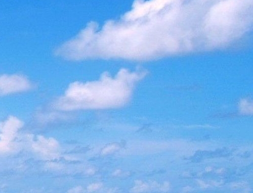 淘宝怎么解除粉象生活授权