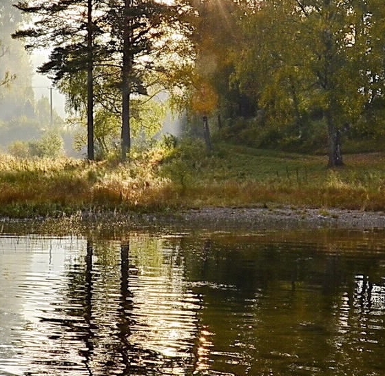 你们是怎么推广粉象的