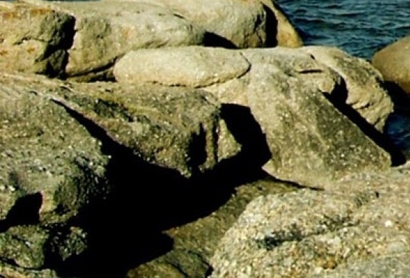 粉象生活如何加入优惠券