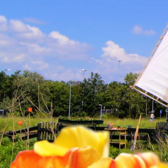 粉象生活邀请人实力官码