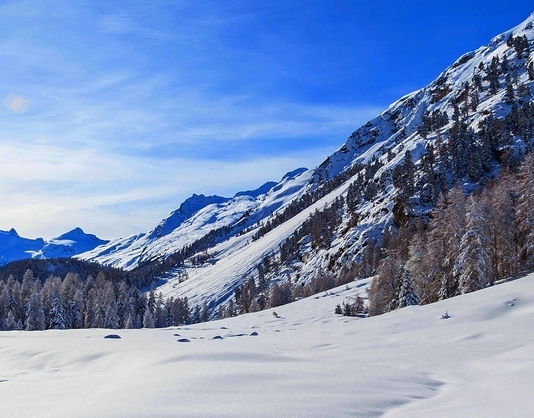 用粉象生活买东西、返现卖家能看到吗