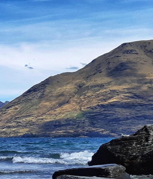 粉象生活下载app