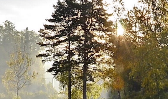 粉象生活送的东西怎么拿