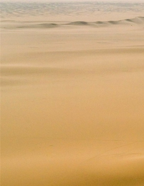 粉象生活下载app