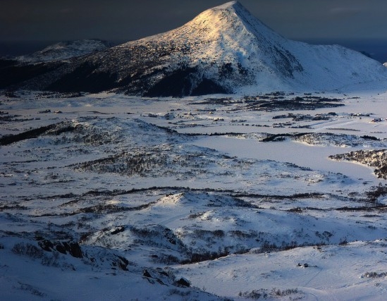 吉林粉象生活加盟