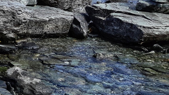 粉象生活赚钱教程