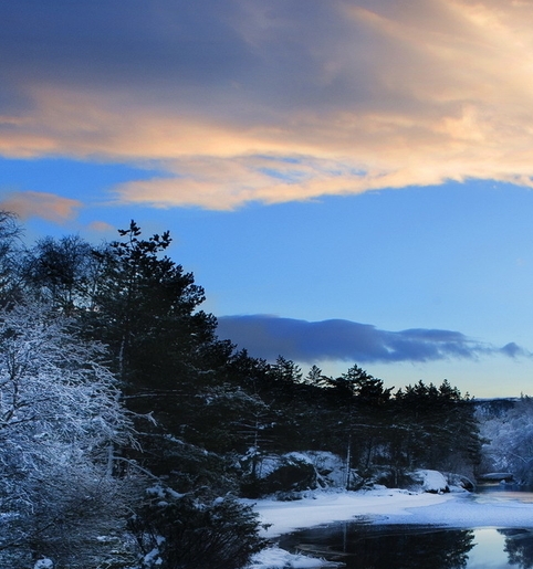 粉象生活佣金怎么写