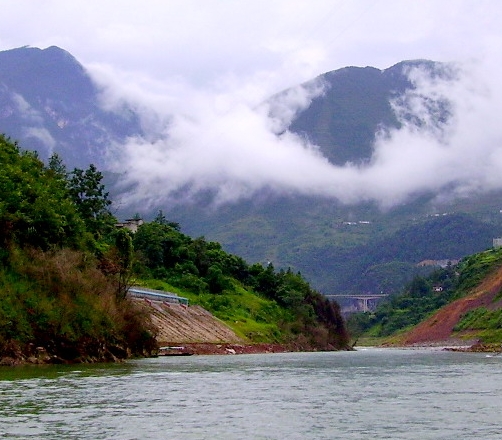 粉象生活手表正品