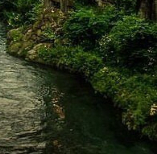 粉象生活app