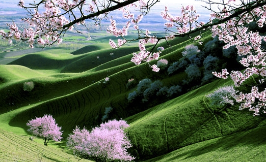 粉象生活app下载安装