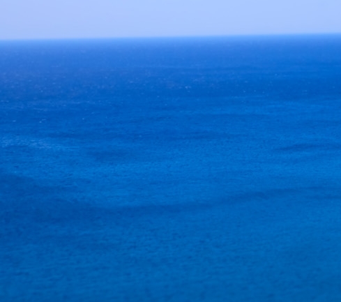 吉林高端粉象生活赚钱么