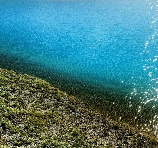 粉象生活会员能卖东西吗