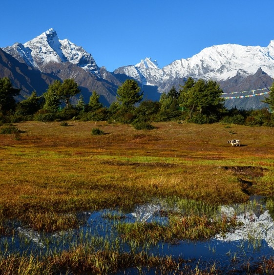 淘宝怎么授权粉象