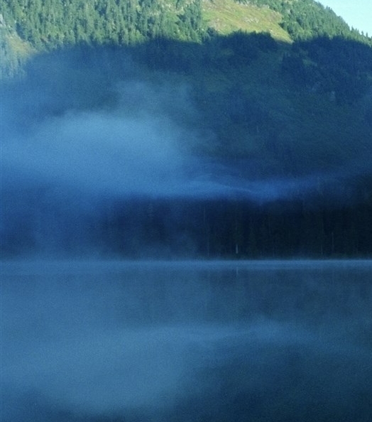 粉象生活怎么赚钱