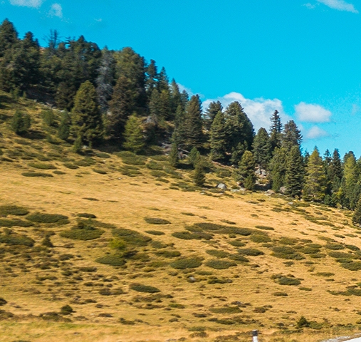 粉象生活如何推广